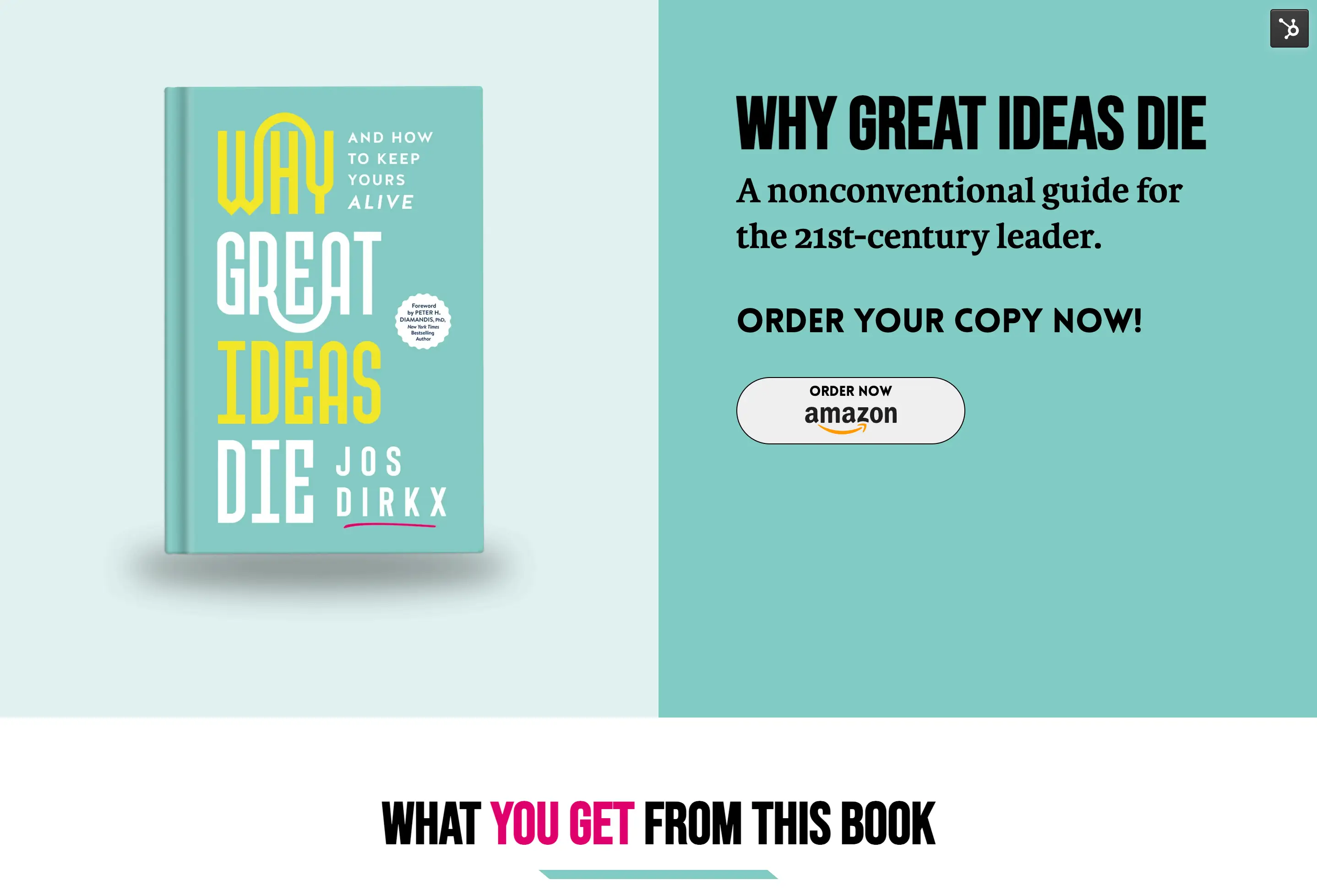 Why-Great-Ideas-Die-Buy-The-Book